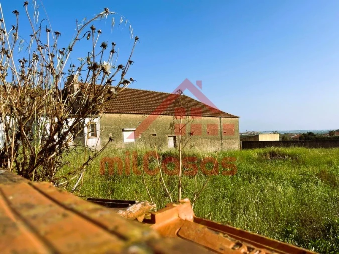 Terreno para Venda em Santa Barbara Foto 2