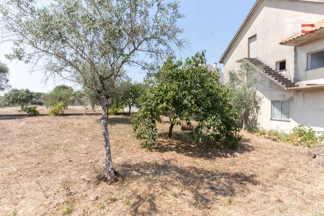 Moradia T0 para Venda em Fatima Foto 12