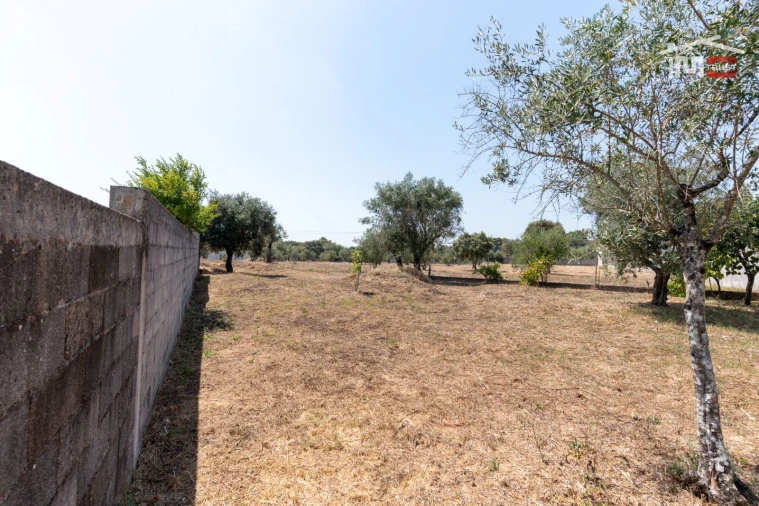 Moradia T0 para Venda em Fatima Foto 13