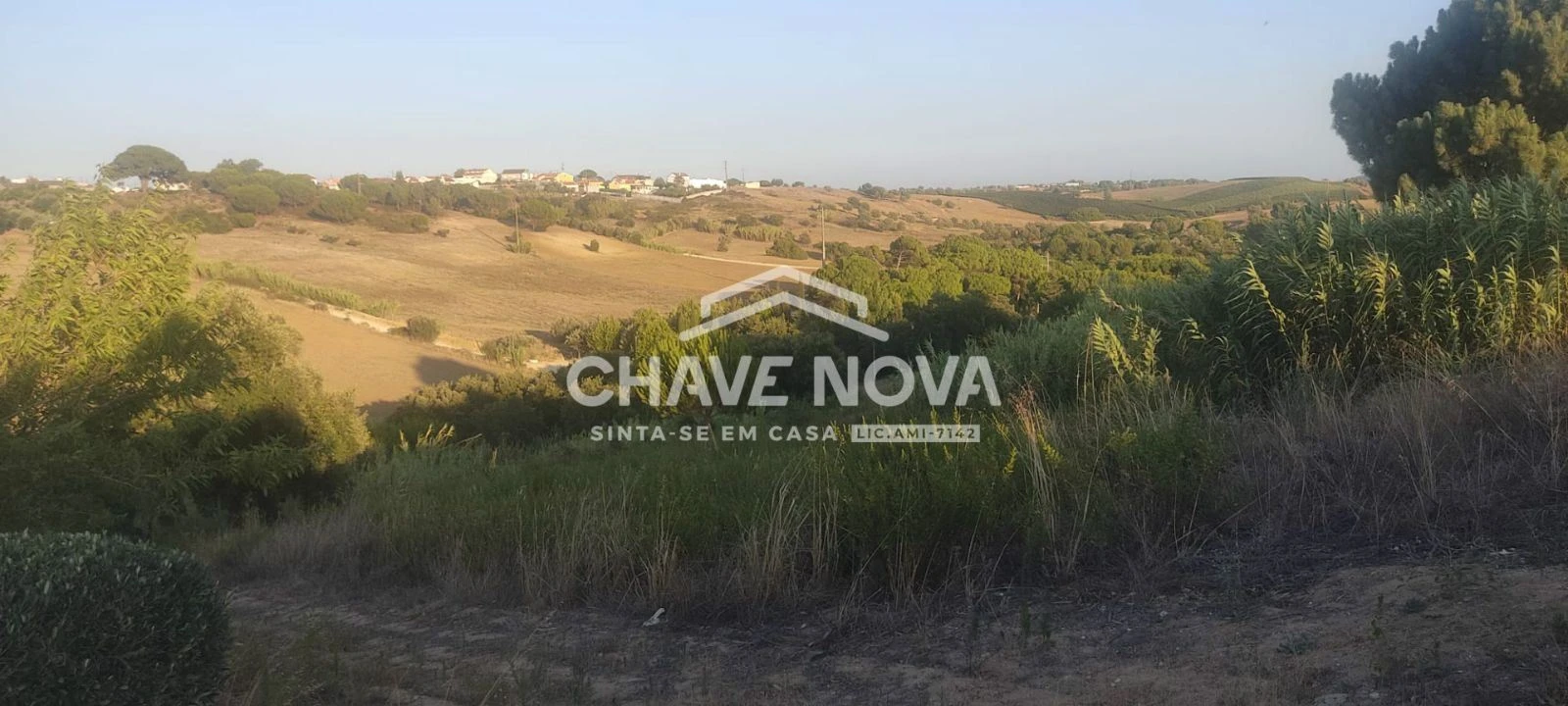 Terreno P/ Prédio para Venda em Azambuja Foto 9