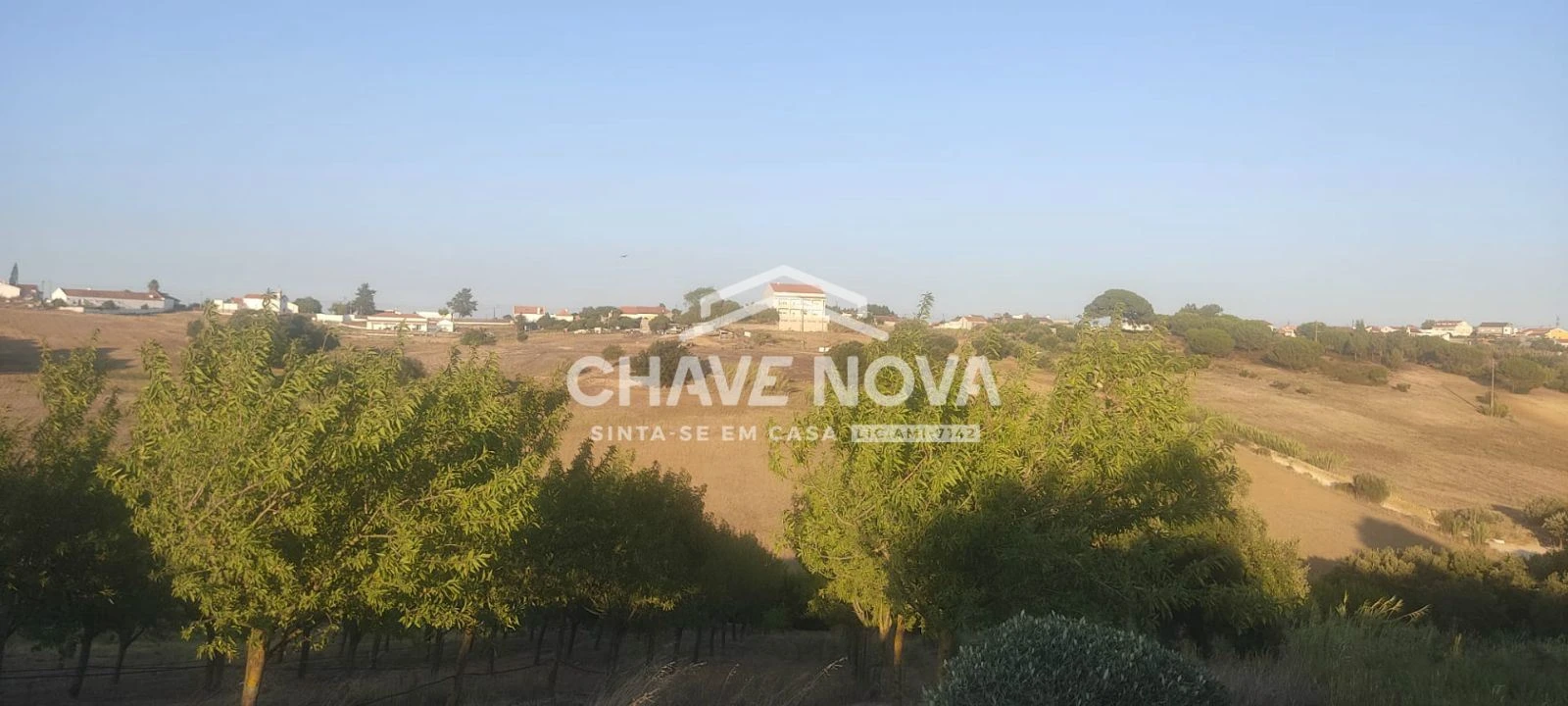 Terreno P/ Prédio para Venda em Azambuja Foto 12