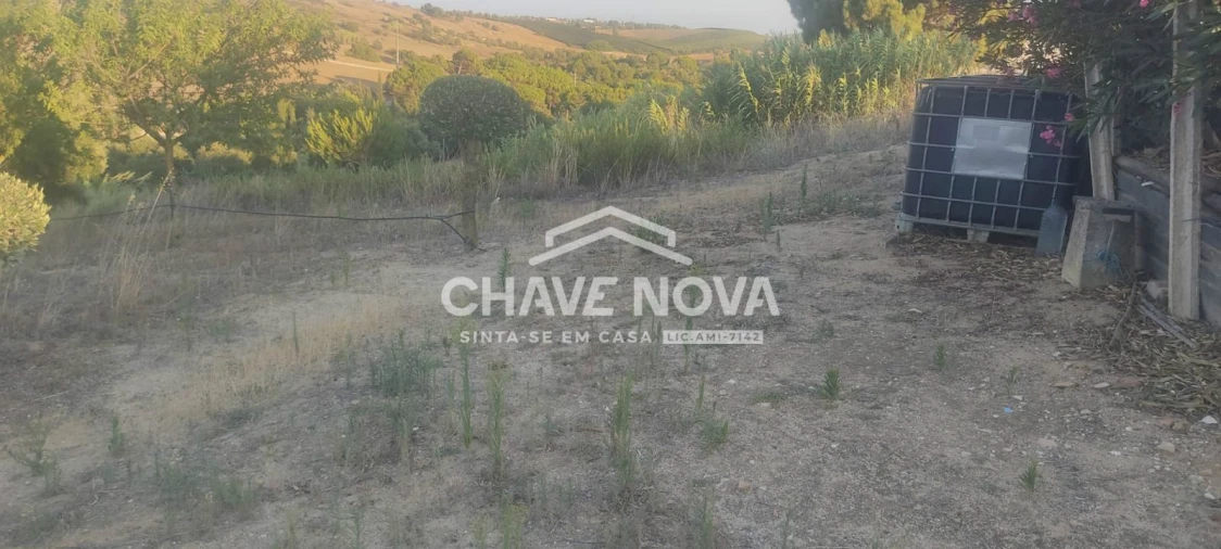 Terreno P/ Prédio para Venda em Azambuja Foto 11