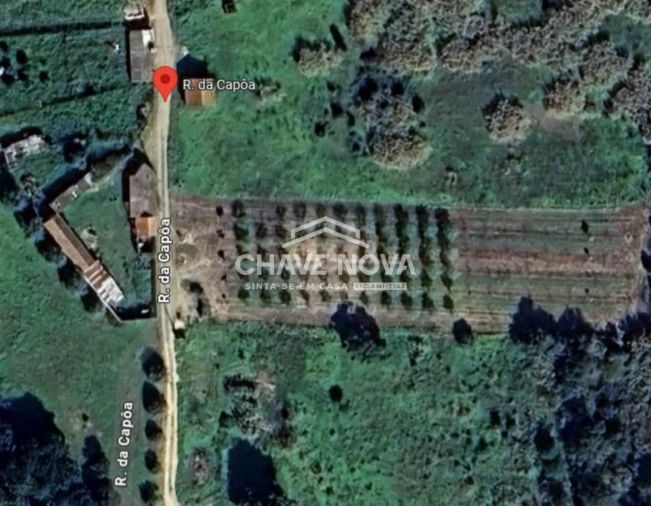 Terreno P/ Prédio para Venda em Azambuja Foto 22