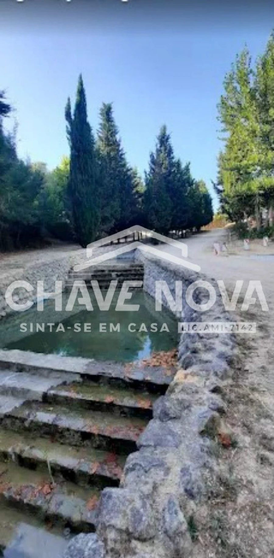 Terreno P/ Prédio para Venda em Azambuja Foto 24