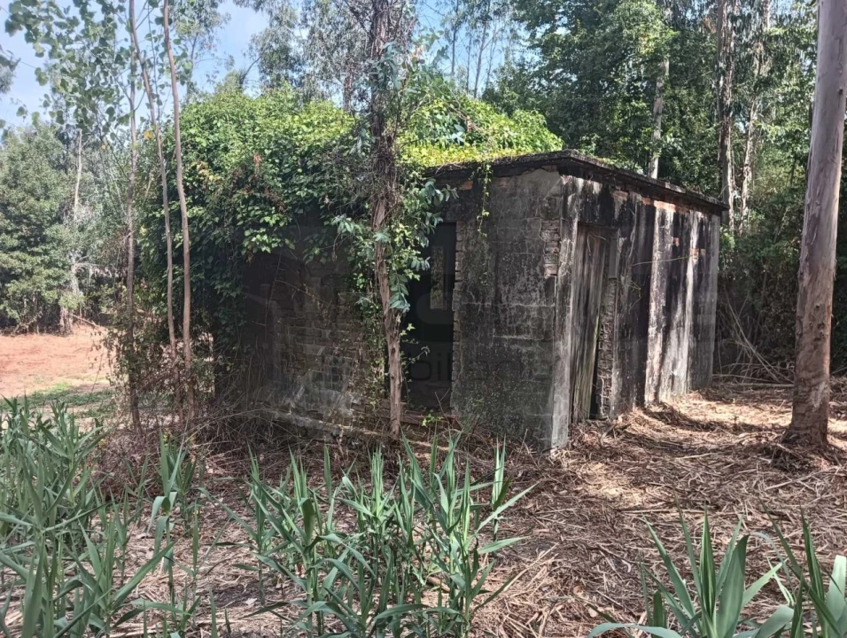 Terreno para Venda em Ouca Foto 1