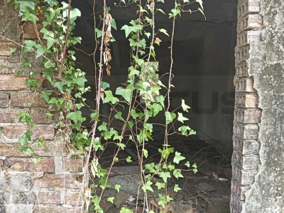 Terreno para Venda em Ouca Foto 2