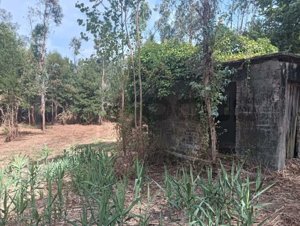 Terreno para Venda em Ouca Foto 5