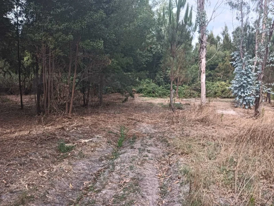 Terreno para Venda em Ouca Foto 15