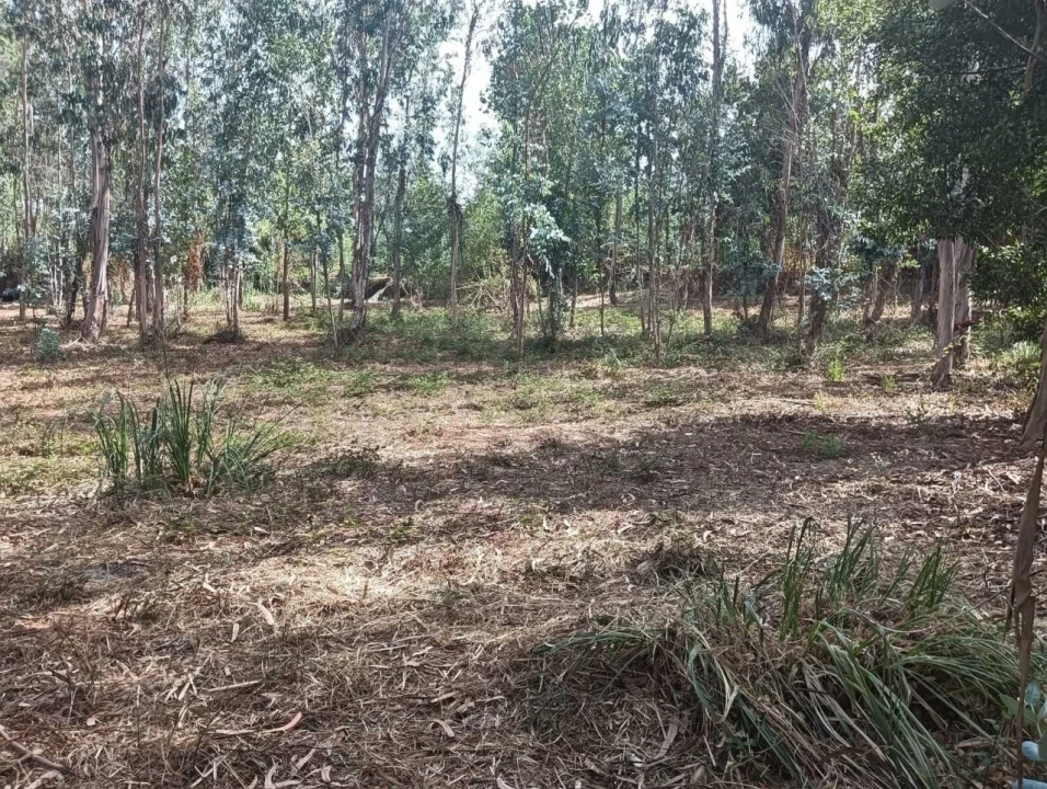 Terreno para Venda em Ouca Foto 17