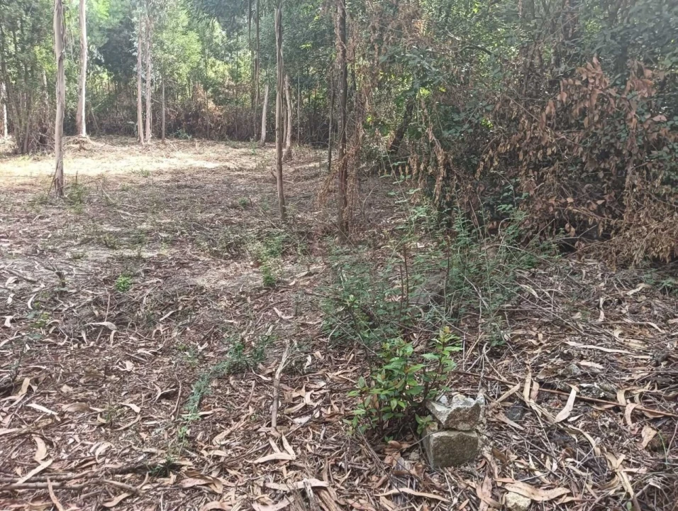 Terreno para Venda em Ouca Foto 23
