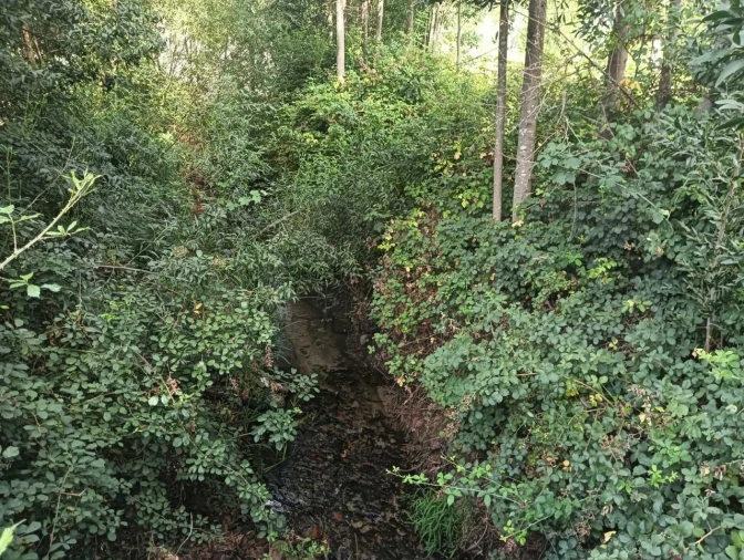 Terreno para Venda em Ouca Foto 7