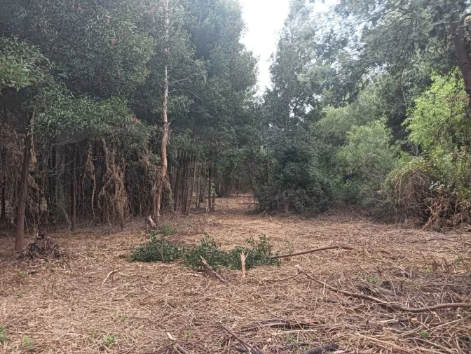 Terreno para Venda em Ouca Foto 8