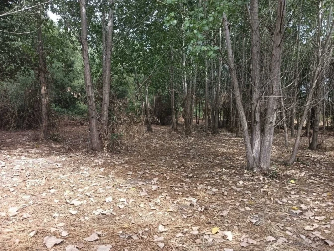 Terreno para Venda em Ouca Foto 11