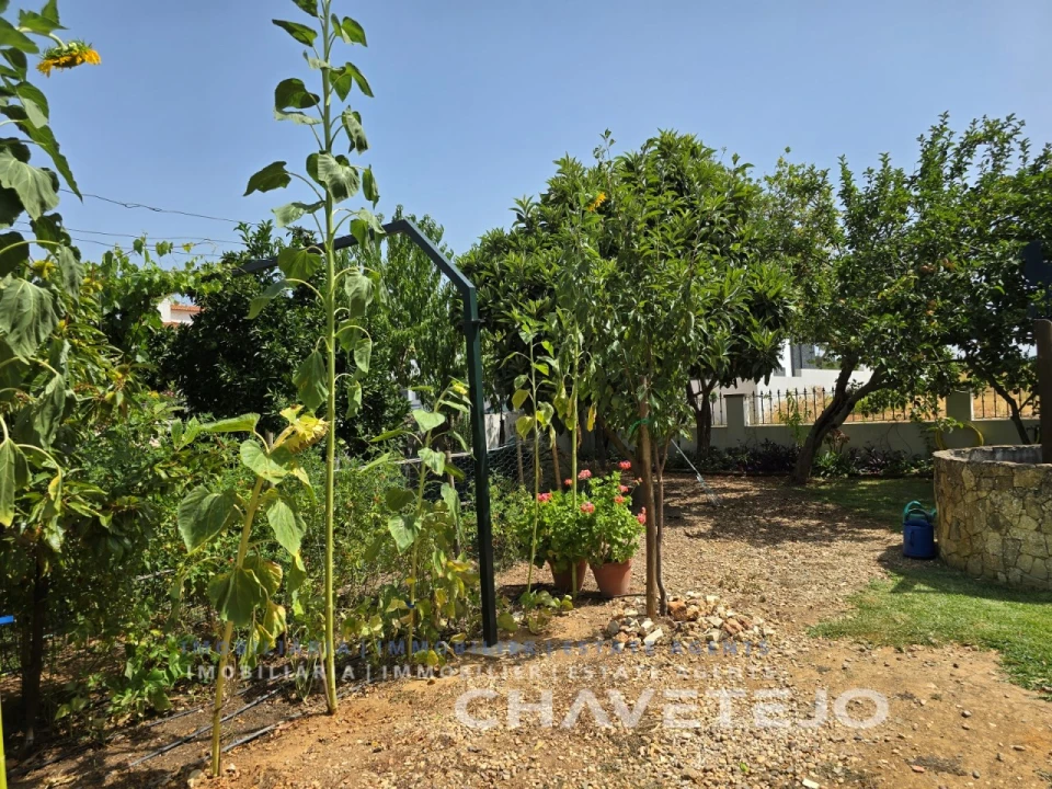 Moradia T5 para Venda em Casais e Alviobeira Foto 58