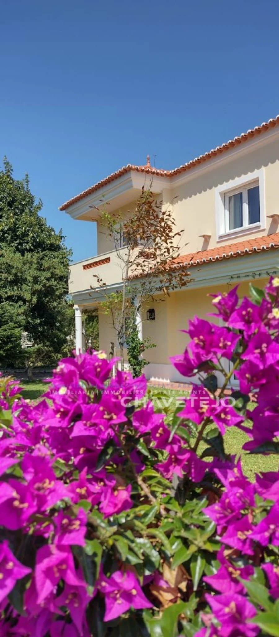 Moradia T5 para Venda em Casais e Alviobeira Foto 66