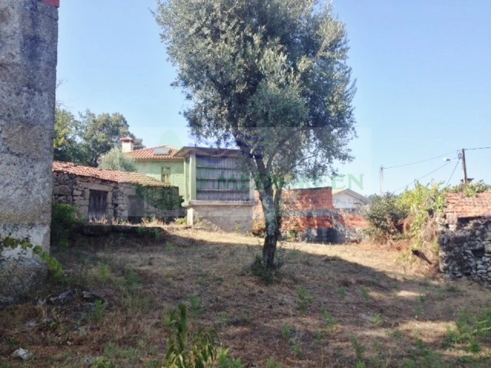 Quinta para Venda em Couto de Esteves Foto 5