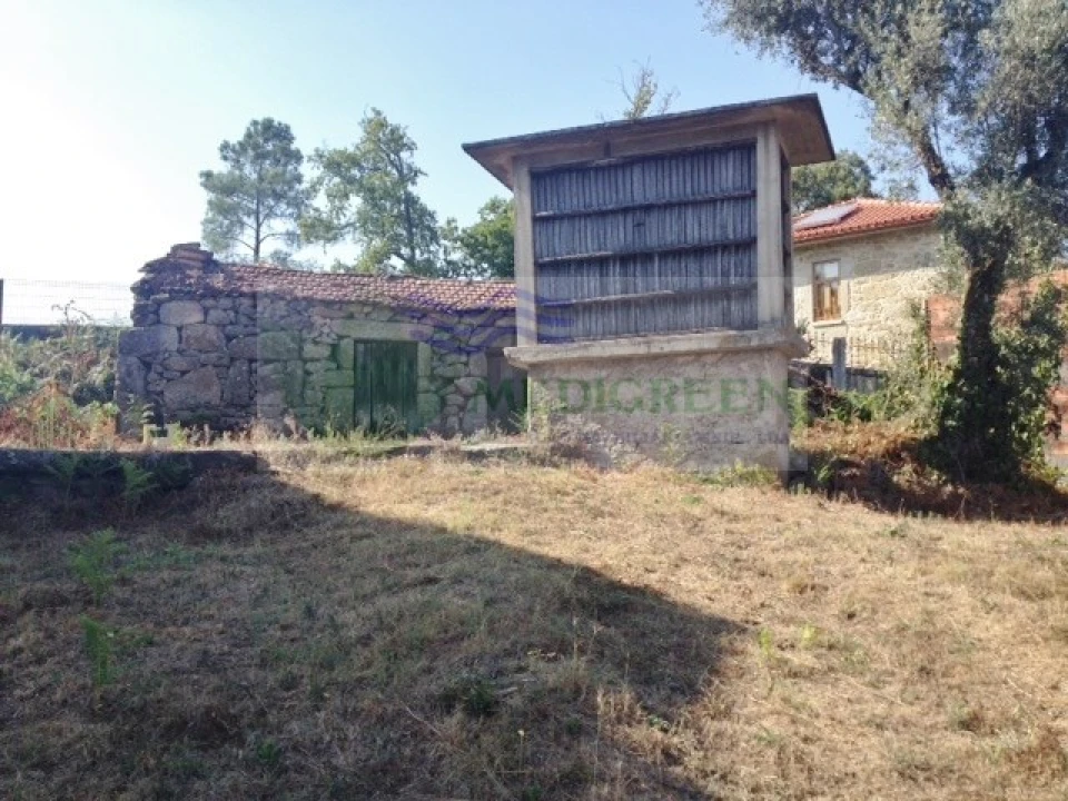 Quinta para Venda em Couto de Esteves Foto 6