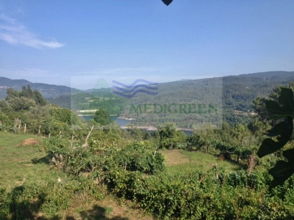 Quinta para Venda em Couto de Esteves Foto 12