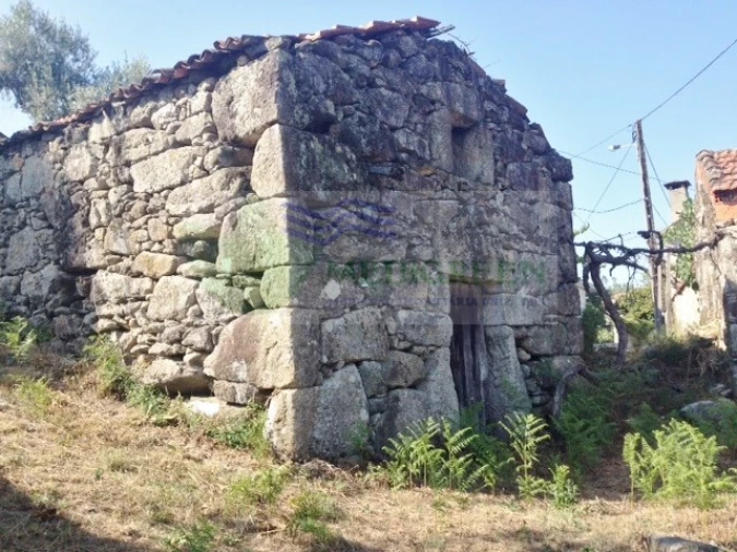 Quinta para Venda em Couto de Esteves Foto 4