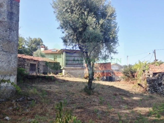 Quinta para Venda em Couto de Esteves Foto 5