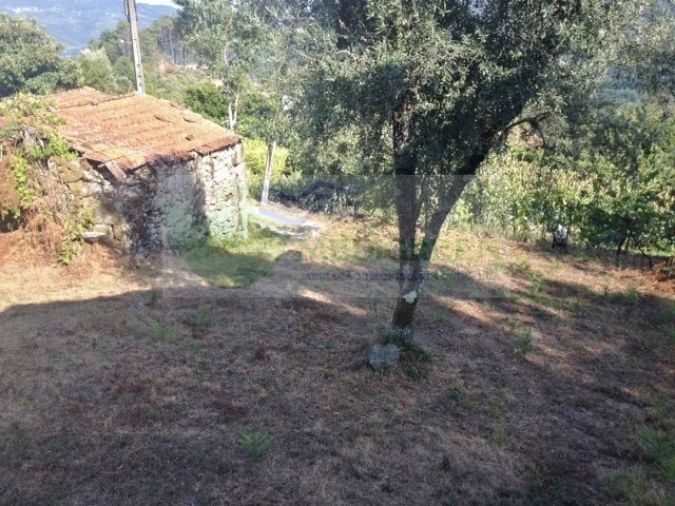 Quinta para Venda em Couto de Esteves Foto 10