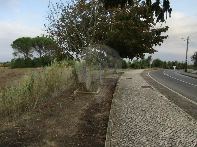 Terreno para Venda em Cartaxo e Vale da Pinta Foto 8