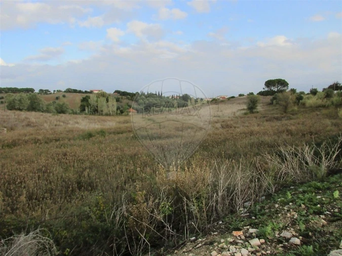 Terreno para Venda em Cartaxo e Vale da Pinta