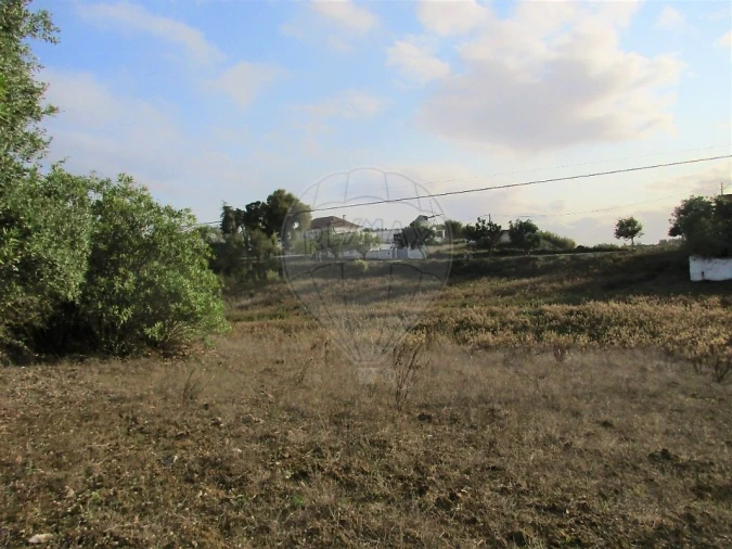 Terreno para Venda em Cartaxo e Vale da Pinta Foto 9