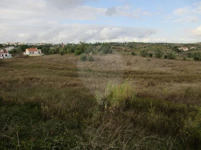 Terreno para Venda em Cartaxo e Vale da Pinta Foto 10