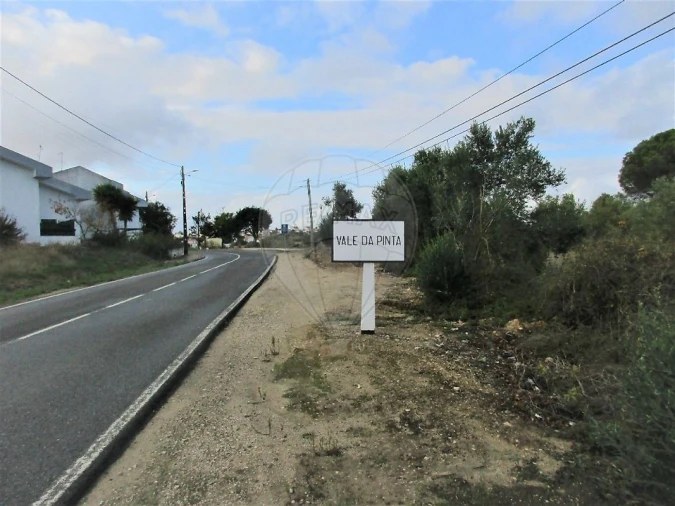 Terreno para Venda em Cartaxo e Vale da Pinta Foto 5