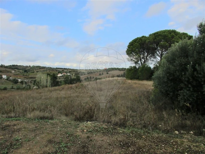 Terreno para Venda em Cartaxo e Vale da Pinta Foto 4