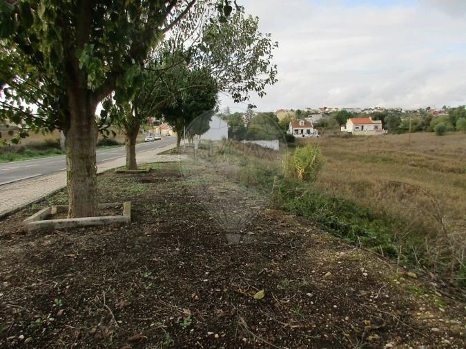 Terreno para Venda em Cartaxo e Vale da Pinta Foto 2