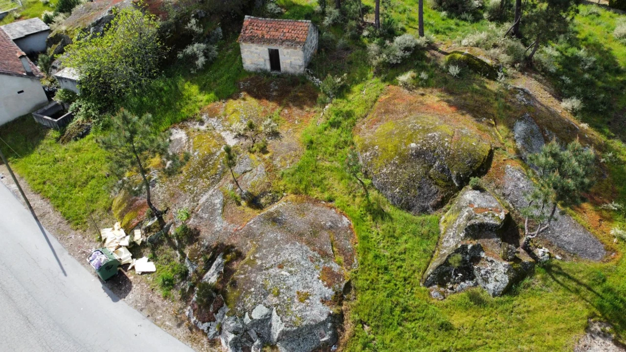 Terreno para Venda em São João de Lourosa Foto 5