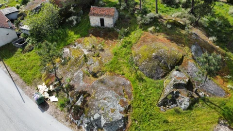 Terreno para Venda em São João de Lourosa