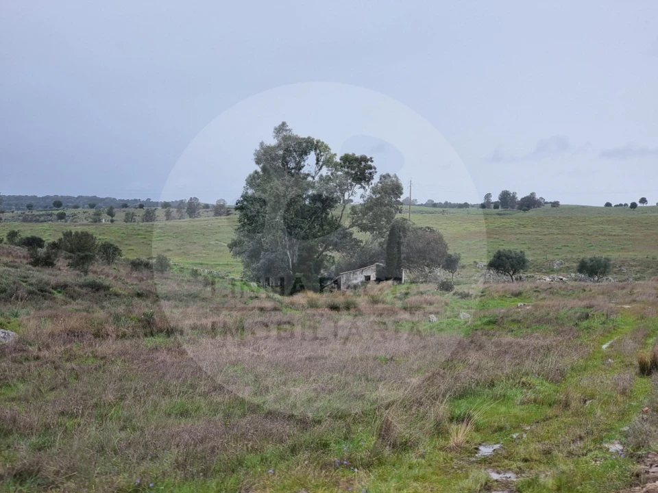 Moradia T4 para Venda em Ourique Foto 21