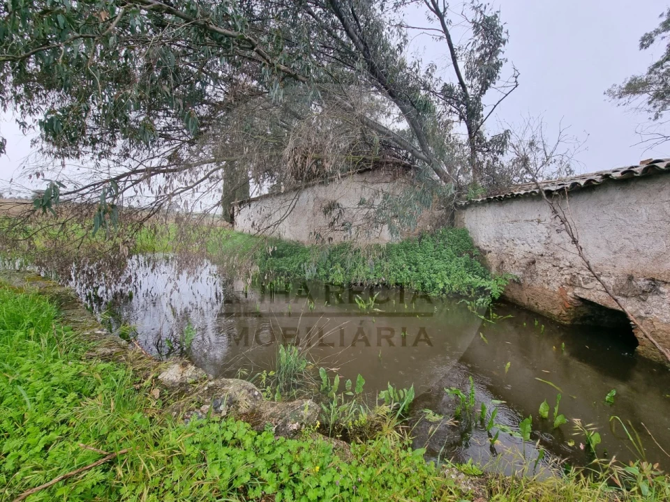 Moradia T4 para Venda em Ourique Foto 20