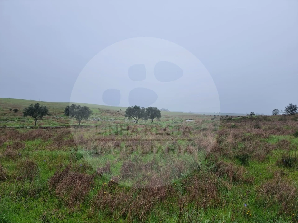 Moradia T4 para Venda em Ourique Foto 28