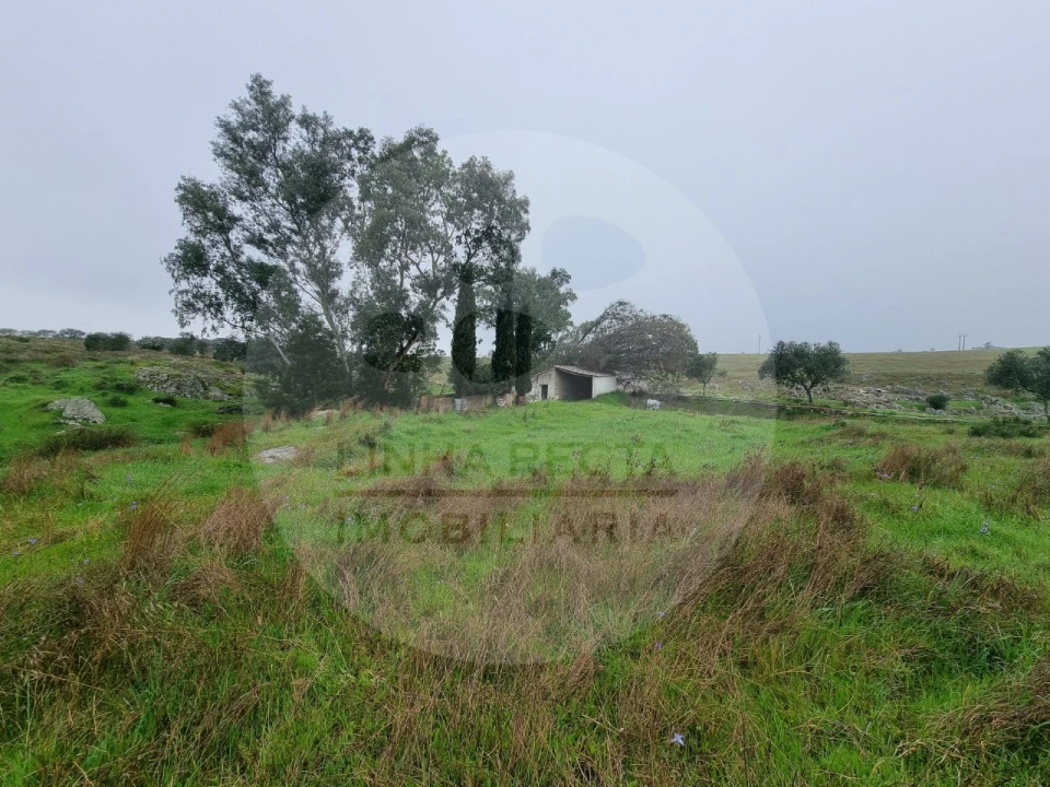 Moradia T4 para Venda em Ourique Foto 22