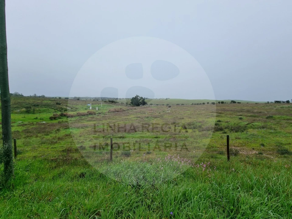 Moradia T4 para Venda em Ourique Foto 30