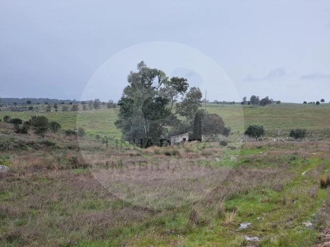 Moradia T4 para Venda em Ourique Foto 21