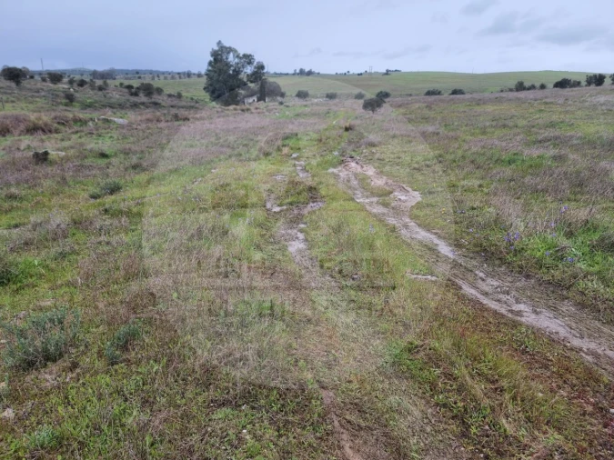 Moradia T4 para Venda em Ourique Foto 32