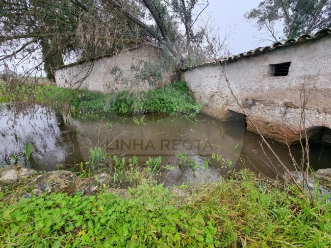 Moradia T4 para Venda em Ourique Foto 6