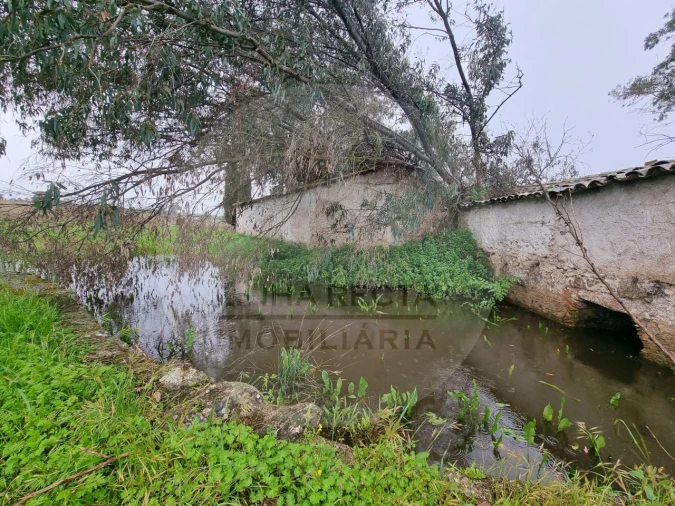 Moradia T4 para Venda em Ourique Foto 20