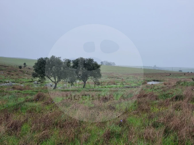 Moradia T4 para Venda em Ourique Foto 27