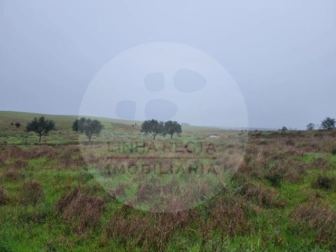 Moradia T4 para Venda em Ourique Foto 28