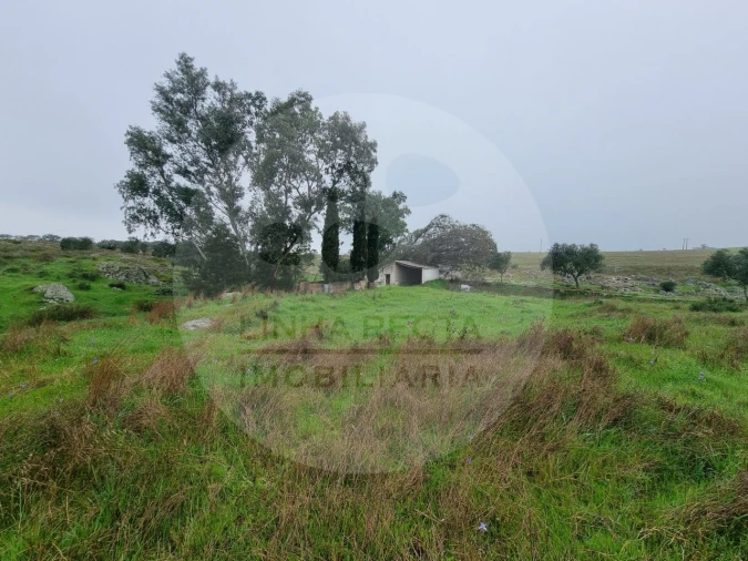 Moradia T4 para Venda em Ourique Foto 22