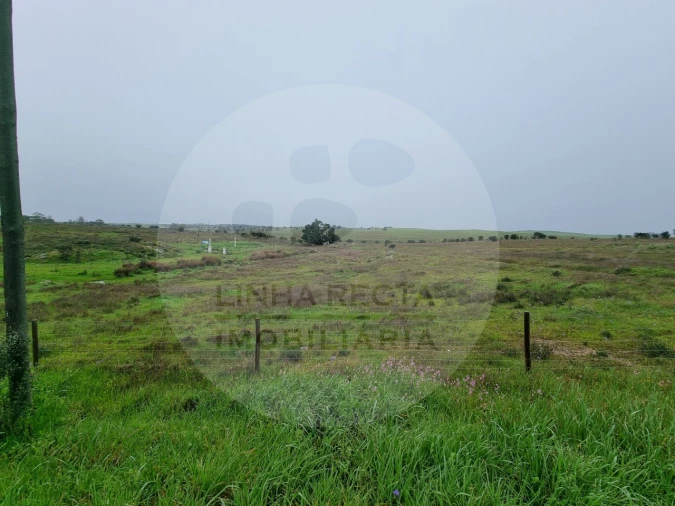 Moradia T4 para Venda em Ourique Foto 30