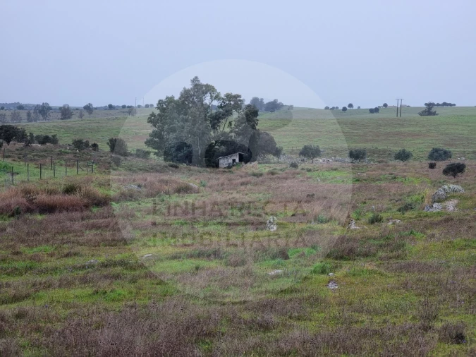 Moradia T4 para Venda em Ourique Foto 31