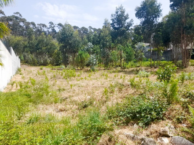 Terreno para Venda em Remelhe Foto 6