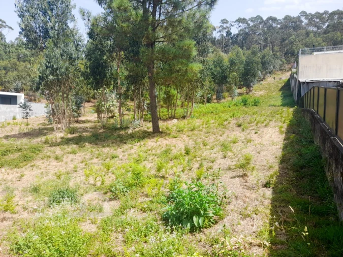 Terreno para Venda em Remelhe Foto 7